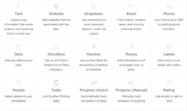 clickup custom field types