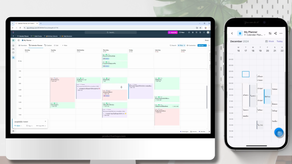 Weekly Plan